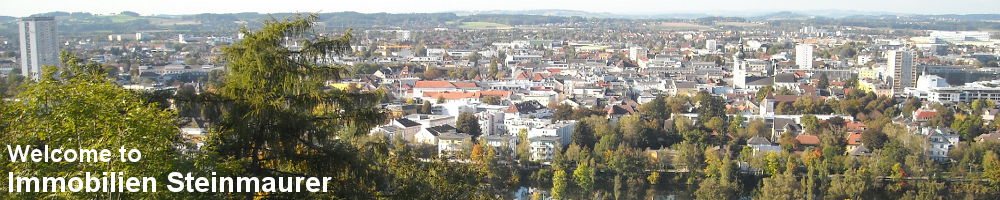 Immobilien Steinmaurer Wels